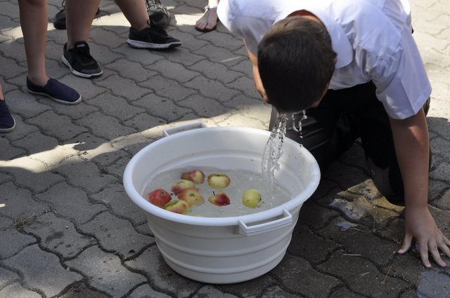 Verébavató az Aranyban 2017 09